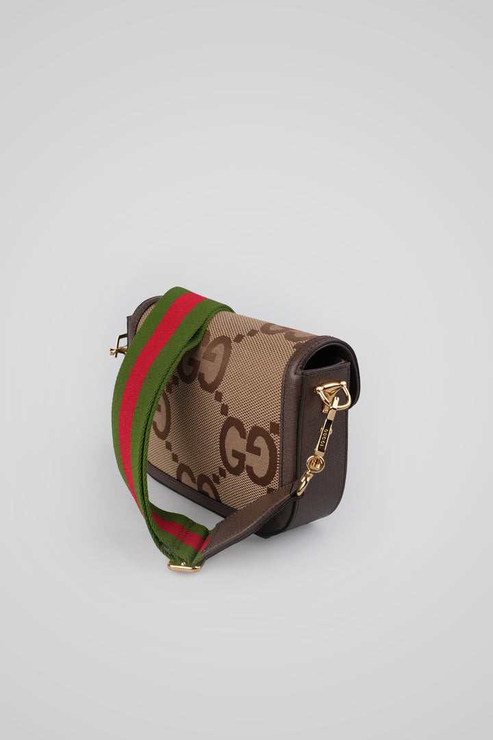 TORBICA PREKO RAMENA