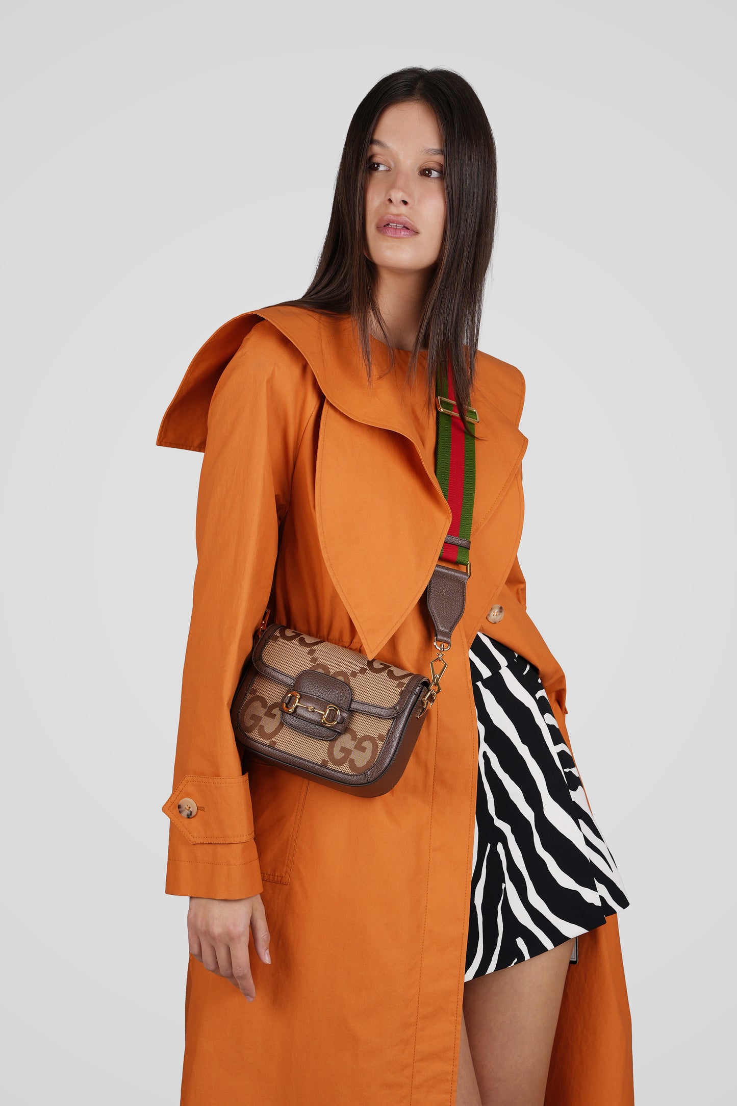 TORBICA PREKO RAMENA