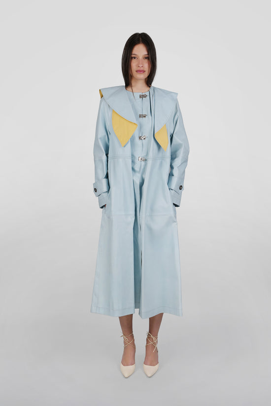 SVIJETLO-PLAVI KAPUT